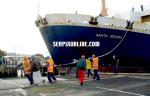 ID 2557 SANTA REGINA (1985/13358grt/IMO 8314562. Renamed NUSA PUTERA in 2016) operated by Strait Shipping on the Wellington-Picton run, seen entering the VT Fitzroy drydock in Auckland for refit as...